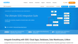 SSIS Data Flow Components